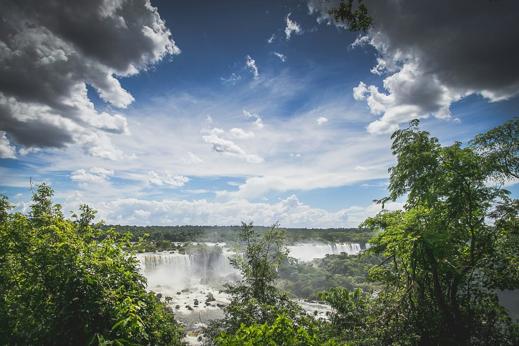 view